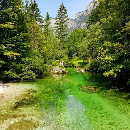 Apartament Juliana Bohinj