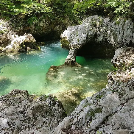 Apartament Juliana Bohinj