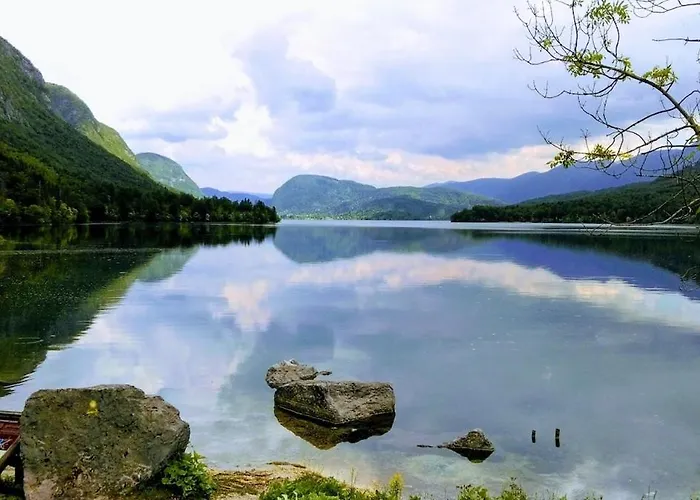 Juliana דירה בוהין