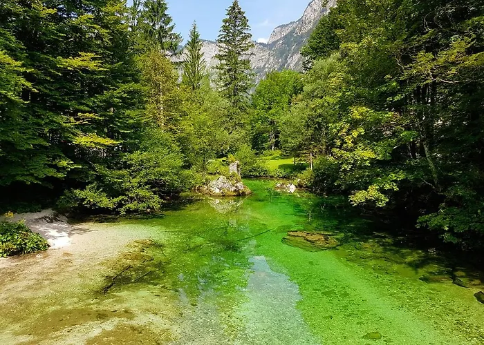 דירה Juliana בוהין